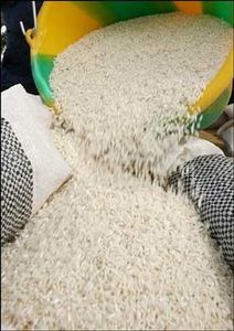 recolte-riz.jpg