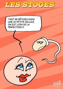 Rencontre spermatozoide ovule video