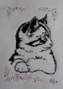 Chat-par-Dany.jpg