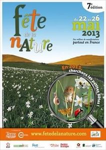 FDLN 2013-250x353