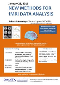 meeting_fMRI_NICOSIA.jpg