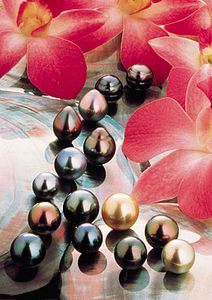 Perles-20XMH.jpg