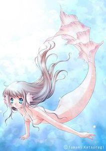 sirene dessin