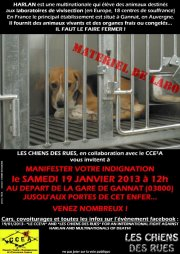 CHIENS DE LABO GANNAT