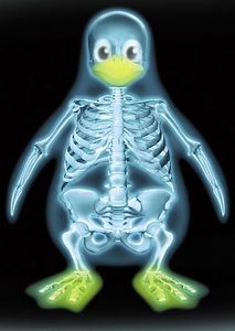 pingouin-linux.jpg