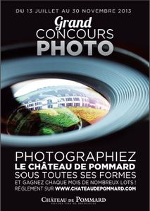 Pommard--Concours-Photo.JPG
