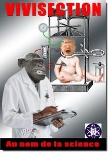 ALF-vivisection-ca-vous-choquen.jpg