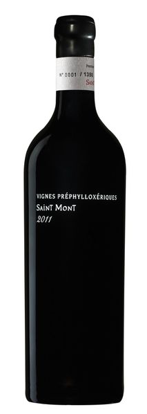 Saint-Mont-VPP2011.jpg