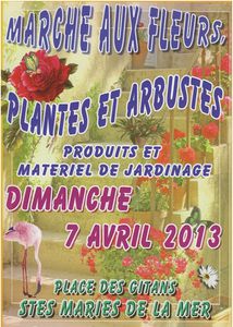 marche-fleurs-2013.jpg