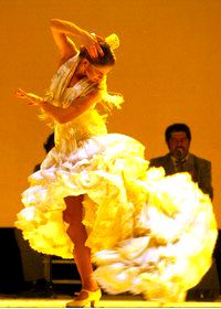 flamencojaune.jpg
