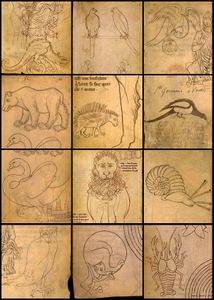 bestiaire-BNF.jpg