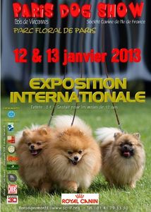pds 2013