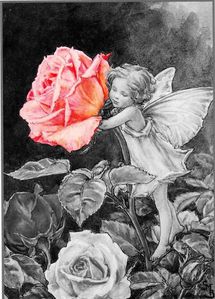 the-rose-fairy3.jpg