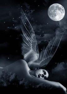 images-feerique-angel-2
