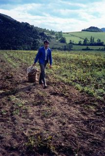 image017