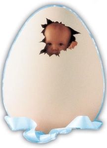 bebe-oeuf.JPG