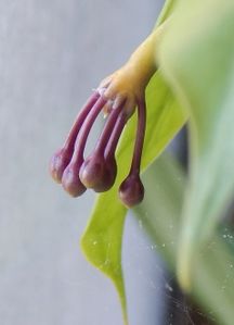 DSCN5386.JPG