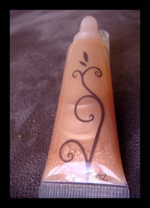 Mon-premier-gloss--2-.jpg