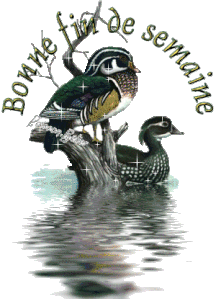bonne fin de semaine canards branche big