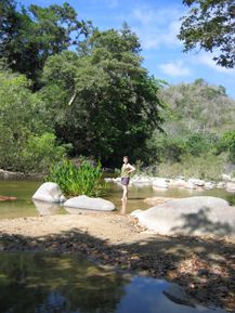 Botanic Garden Puerto Vallarta (43)