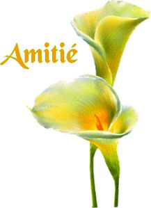 amiti-.jpg