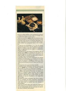 DIET-INFO-PAGE-DEUX-AVRIL-2006.JPG