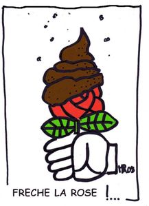 freche-rose.jpg