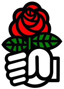 L59xH80_jpg_poing_rose_ps-21089.jpg