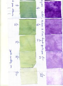 teinture813.jpg