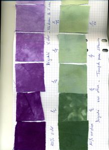 teinture814.jpg