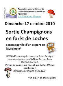 sortie champignons