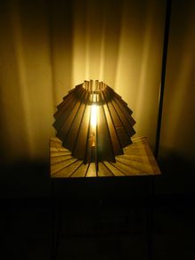 lampe polymorphe carton 02