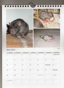 calendrier03