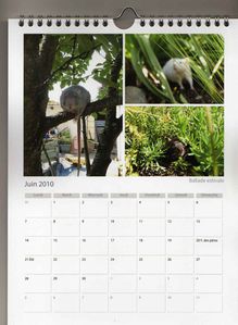 calendrier06