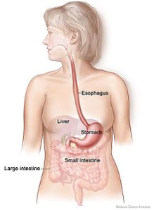 diverticulose régime alimentaire