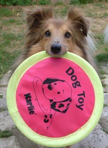 coco-frisbee
