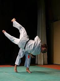 judo.jpg