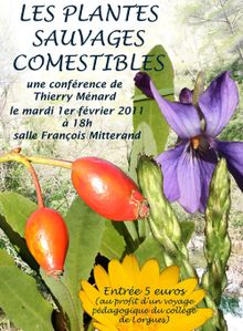 AFFICHE-conf-thierry-500.jpg
