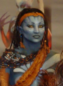 DSC00838