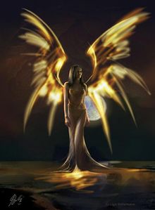 ailes de lumière