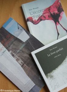 2011-12-03-Eric-Pessan-Book-blog.jpg