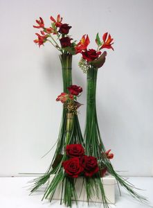 DSC09646.JPG