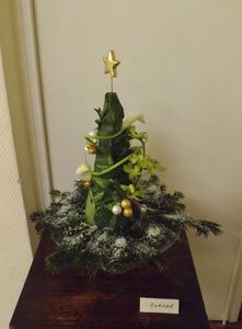 DSCF0563.JPG
