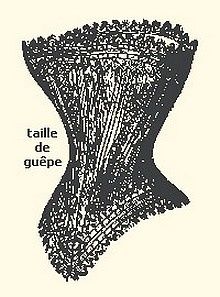 3101-taille-de-guepe.jpg