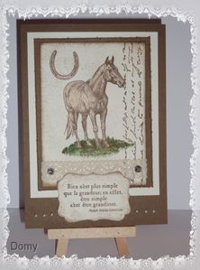 Carte cheval-Doux Suède1