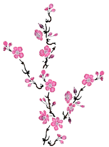 fleurs de cerisier 1