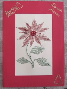 012poinsetia