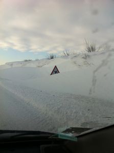 IMG_0360.jpg
