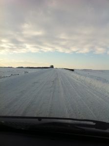 IMG_0361.jpg