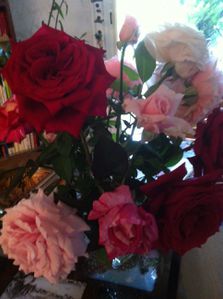 photo-copie-1.JPG